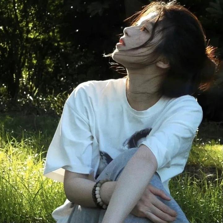 全知读者视角